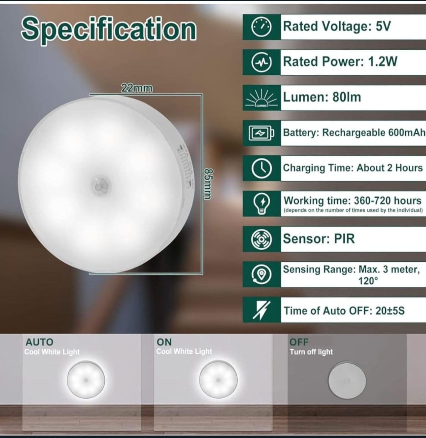 Motion Sensor Light