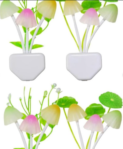 Mushroom  🍄 LED Night Lamp Auto Lamp