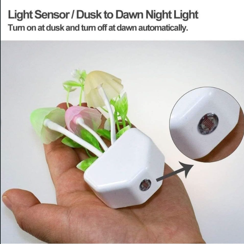 Mushroom  🍄 LED Night Lamp Auto Lamp