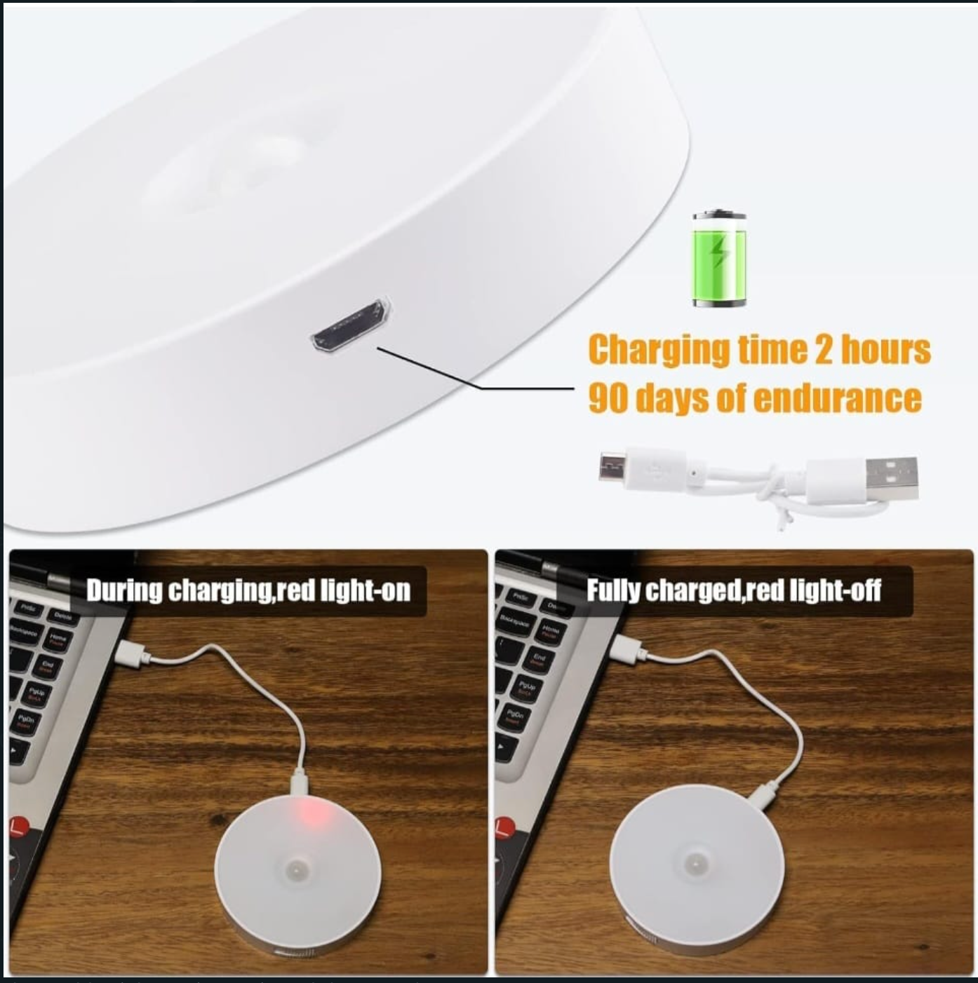Motion Sensor Light