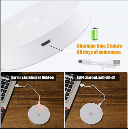 Motion Sensor Light